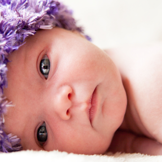 David Knight Photo 41 David Knight Photo 41