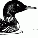 Kristen Busch Photo 16