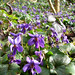 Anne Woods Photo 4