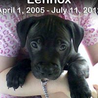 Wanda Webber Photo 12