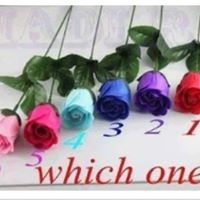 Vickie Wheeler Photo 16