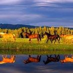 William Mcclure Photo 23