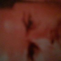 Harry Spencer Photo 17