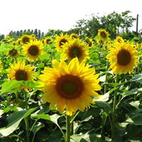 April Garner Photo 14