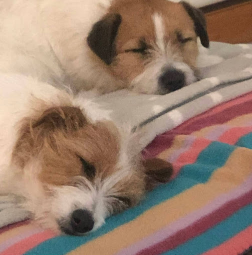 Barbara Mckay Photo 19