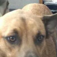 Amanda Welsh Photo 14