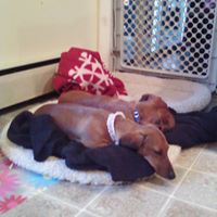 Sharon Culbertson Photo 12