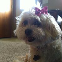 Leah Hendrickson Photo 22
