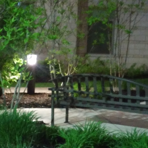 Antionette Carter Photo 2