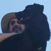 Allen Anthony Photo 14