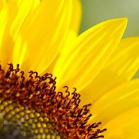 Jeanette Walker Photo 39