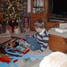 Thomas Kasey Photo 28