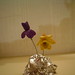Barbara Quast Photo 9