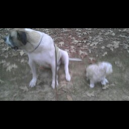 Jerry Terrell Photo 5