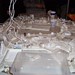 David Scherer Photo 40
