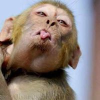 Roberto Gonzales Photo 31