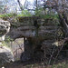 Edwin Webster Photo 15