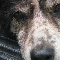 Steve Godfrey Photo 34