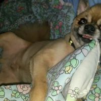 Candice Walls Photo 4