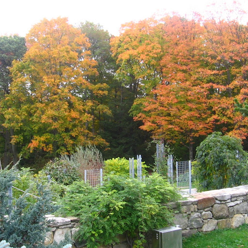 Anthony Joseph Photo 26