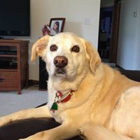 Theresa Hayes Photo 10