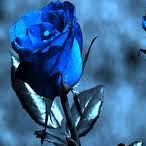 Jenny Cornelius Photo 3