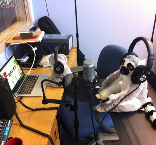 Stephen Montgomery Photo 43 Stephen Montgomery Photo 43