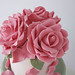 Fran Rose Photo 37