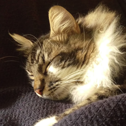 Lori Garrison Photo 20