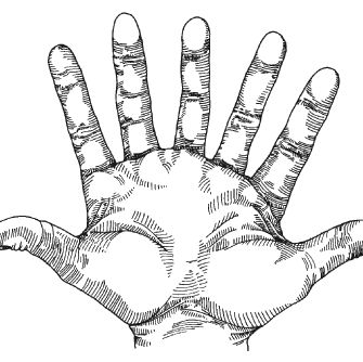 Angela Estes Photo 32