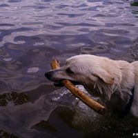 Terrence Chandler Photo 12