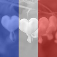 Susan Munson Photo 17