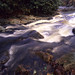 Virginia Mcdowell Photo 13
