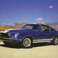 Paula Clarke Photo 29