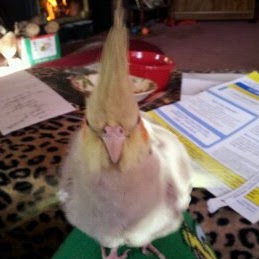 Kathleen Sexton Photo 17