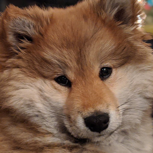 Melissa Hand Photo 30