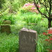 Deborah Blackwell Photo 13
