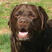 Suzanne Donovan Photo 14 Suzanne Donovan Photo 14