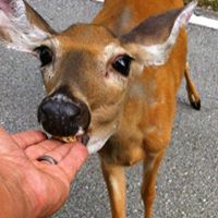 David Daugherty Photo 22 David Daugherty Photo 22