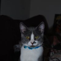 Baxter Lee Photo 11