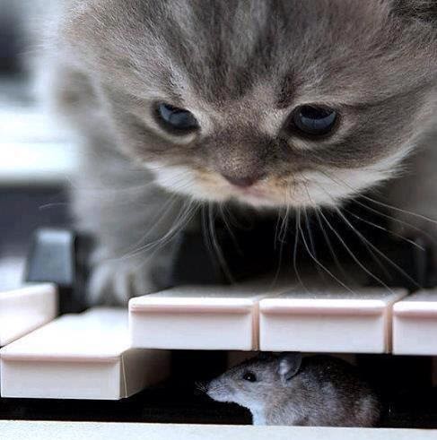 Patrick Walker Photo 48