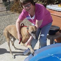 Margaret Anglin Photo 3