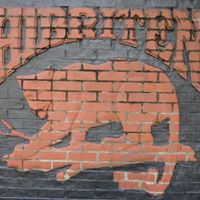 Darlene Carpenter Photo 1