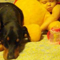 Tracy Pardue Photo 4