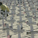 Erica Stearns Photo 13