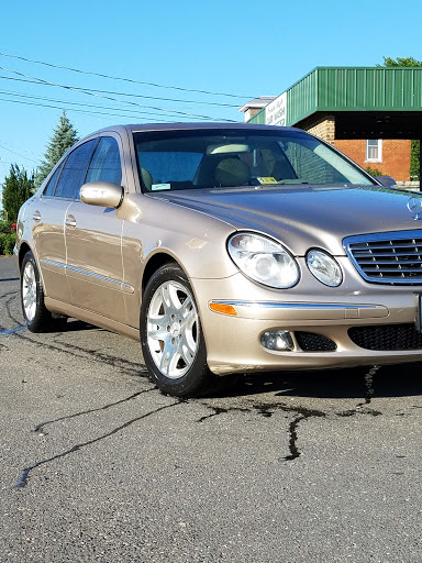 Steven Springer Photo 10