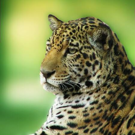 Austin Potter Photo 7