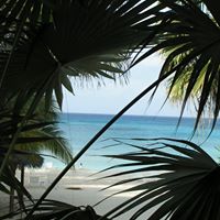 Laurie Dewitt Photo 8