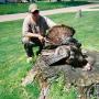 Shane Bradford Photo 23