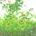 Catherine Berry Photo 27